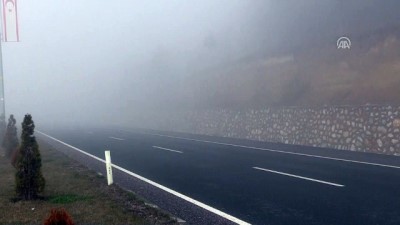 Kastamonu'da Sis Ulaşımı Olumsuz Etkiliyor