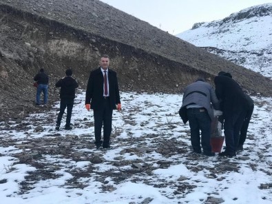 Yaban Ördekleri Kars Çayı'nı Mesken Tuttu