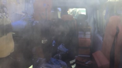 Abi-Kardeş Kavgası Kanlı Bitti