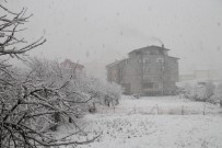 Hizan'da Kar Yağışı