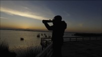 MANDA YOĞURDU - Kuş Ve Doğa Fotoğrafçılarının 'Kuş Cenneti' Talebi