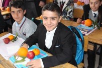 MEHMET HALİS AYDIN - Saray Belediyesinden Öğrencilere Meyve