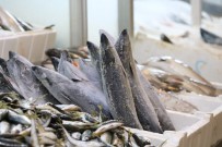BALIKÇI ESNAFI - Yağışlar Arttı Balık Fiyatları Düştü