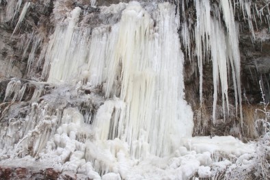 Ardahan'da Soğuk Hava Nedeniyle Şelale Dondu
