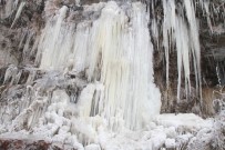 Ardahan'da Soğuk Hava Nedeniyle Şelale Dondu Haberi