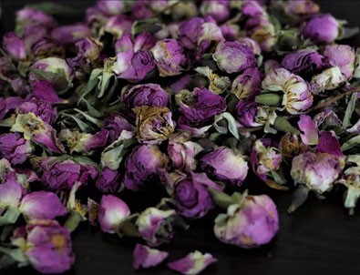 Isparta'dan 10 ülkeye gül çayı ihracatı