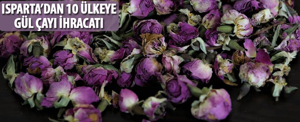 Isparta'dan 10 ülkeye gül çayı ihracatı
