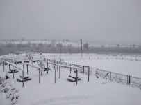 KAR MANZARALARI - Kar Kalınlığı 30 Santimetre Açıklaması Okullar Tatil Edildi