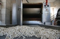 KURUYEMİŞ - Kuruyemişçiler 2019'Dan Umutlu