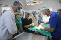 SOKAK HAYVANI - Sokak Hayvanları Sahipsiz Kalmadı