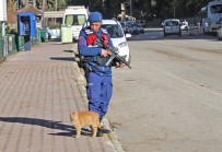 SOKAK KEDİSİ - Sokak Kedisi Denetim Yapan Jandarmanın Yanından Ayrılmadı