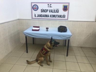 Uyuşturucuyu 'Çevik' Buldu Açıklaması 2 Gözaltı
