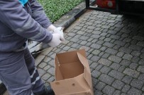 ÜMRANİYE BELEDİYESİ - Ayağına Takılan Olta Nedeniyle Ağaçta Mahsur Kalan Martının Kurtarılma Anı Kamerada