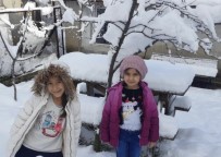 SOĞUK HAVA DALGASI - Kar Yağdı, Erik Ağacı Çiçek Açtı