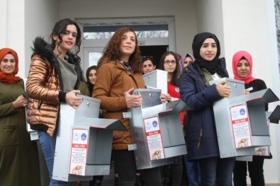 Kars'ta KYK Öğrencileri Sokak Hayvanlarını Sahipsiz Bırakmadı