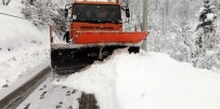 KAR TEMİZLEME - Sakarya'da Kar Kalınlığı 50 Santimetreye Ulaştı