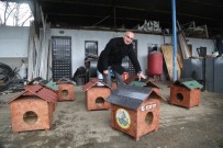 ÖRNEK PROJE - Sapanca Belediyesi'nden Kedi Evleri Projesi Hayata Geçirdi