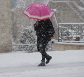 Sivas'ta Kar Hayatı Felç Etti