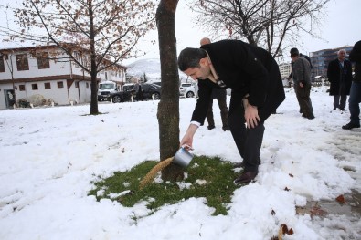 Tokat'ta Sokak Hayvanlarına Yem Bırakıldı