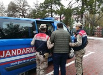 KARAELBISTAN - Cezaevi Firarisi, Jandarmanın Takibi Sonucunda Yakalandı