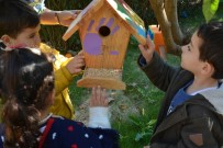 ÇOLAKLı - Çolaklı Kreş'ten Kuş Yuvası Etkinliği