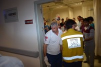 VİRANŞEHİR - Eşini Öldürüp İntihar Etmek İstedi