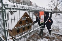 EKOLOJIK - Selçuklu Belediyesi Sokak Hayvanları İçin Doğaya Yem Bıraktı