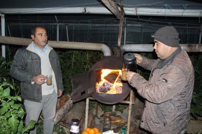 Soğuk Hava Antalya'da Çiftçiye Gece Yarısı Seraya Odun Taşıttı