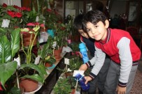MURAT ORHAN - 493 Öğrenci Okulda Çiçek Yetiştirdi