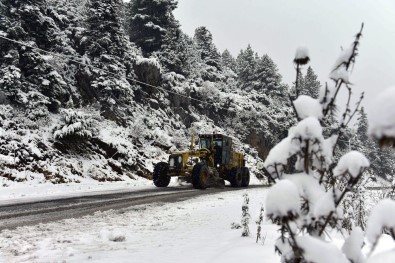 Adana'da 7 İlçede Karla Mücadele Başladı