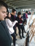 ANKARA FEN LISESI - Ankara Fen Lisesi'nde Ankara Sergisi