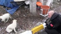 DALGIÇ POLİS - Buzlar Kırılarak Kurtarılan Köpek Yavrusu 'Buz' Yuvasına Kavuştu