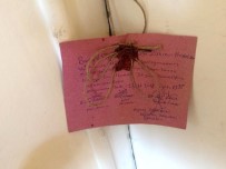 FUHUŞ - Onunla ilişkiye giren yandı!