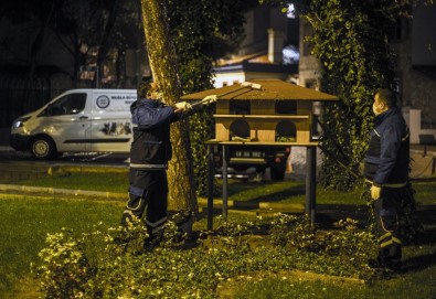 'Pati' Timi Gece Nöbetinde