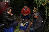 SAZLI SÖZLÜ - Sazlı Sözlü 'Don' Nöbeti