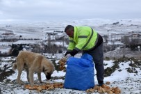 SOKAK HAYVANI - Soğuk Havalarda Sokak Hayvanları Unutulmuyor