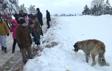 Sokak Hayvanları İçin Kermes Düzenlediler