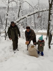 Yaban Hayvanları İçin Dağlara Yiyecek Bırakıldı