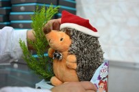 POTASYUM - Bu Kirpi Her Eve Girer