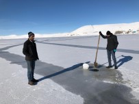 BUZ KÜTLESİ - Çıldır Gölü Buz Tuttu