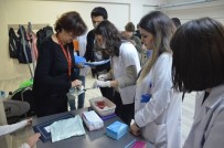 DİŞ SAĞLIĞI - Diş Hekimi Adayları Görme Engelli Öğrencilere Eğitim Verdi