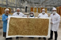 OMEGA - Dut'un Ceviz Ve Fındığa Olan Sevdası Pestil Ve Köme İle Hayat Buldu