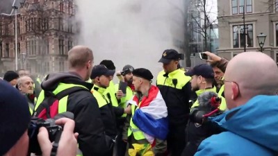 Hollanda'da Sarı Yeleklilerin Gösterisinde Gözaltı