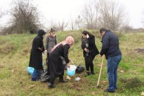 KALICI KONUTLAR - KYK'lı Öğrenciler Kalan Yemeklerle Sokak Hayvanlarını Besledi