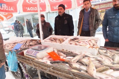 Malazgirtli Vatandaşlardan Balığa Yoğun İlgi