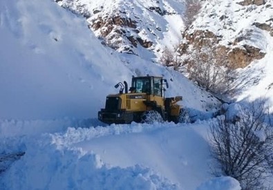 Sincik'te Kapanan Köy Yolları Açılıyor