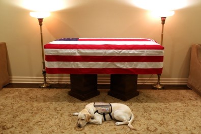 Köpeği Eski ABD Başkanı Bush İçin Yas Tutuyor