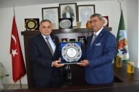 KAYHAN - Kumluca Ziraat Odası Başkanlığına Gökçe Getirildi