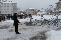 Akdağmadeni'nde Öğrenciler Güvercinleri Besledi Haberi