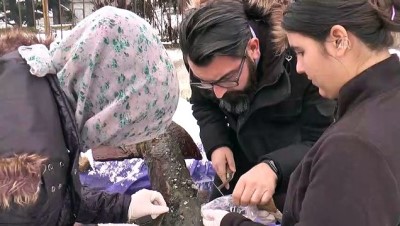 Ağa Takılan Tarihi Çapa Su Altına Işık Olacak